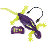 Spin Master Hex Bots - Gecko Radiocommandé Phosphorescent Qui Rampe Sur Le Sol Et Les Murs - Lézard Télécommandé Avec Yeux Lumineux - Pilotage Facile - Câble USB Inclus - Jouet Enfant 4 Ans et +, Figurine Hex Bots - Gecko Radiocommandé Phosphorescent Qui Rampe Sur Le Sol Et Les Murs - Lézard Télécommandé Avec Yeux Lumineux - Pilotage Facile - Câble USB Inclus - Jouet Enfant 4 Ans et +, 4 an(s)