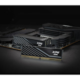 ADATA 48 Go DDR5-6000 (2x 24 Go) mémoire vive Noir, AX5U6000C3624G-DTLABBK, XMP 3.0, EXPO
