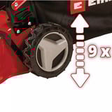 EINHELL Tondeuse à essence GC-PM 46/5 S, Tondeuse à gazon Rouge/Noir