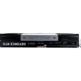 Gainward NE75080019T2-GB2031C, Carte graphique 