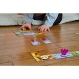 Pegasus Dragomino, Jeu de société 