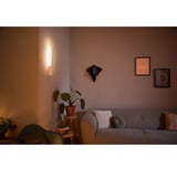 Philips Hue White & Color Ambiance Liane applique murale, Lumière LED Blanc