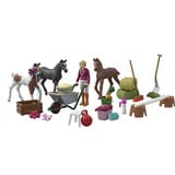 Schleich 99178, Jeu véhicule 