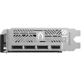 ZOTAC ZT-B50610E-10M, Carte graphique 