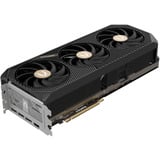ZOTAC ZT-B50900J-10P, Carte graphique 