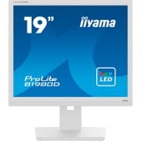 iiyama Iiyama 19 L B1980D-W5 5:4 Business 