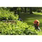 Bosch 06008D5100, Taille-haies Bleu/Noir