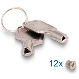 DeLOCK Baie mince cadre amovible pour 2 x 2,5″ U.2 NVMe SSD, Boîtier disque dur 