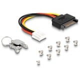 DeLOCK Cadre amovible Slim Bay pour 4 x M.2 NVMe SSD avec connexion Slim SAS SFF-8654, Cadrage 