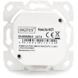 Digitus Prise de données CAT.6A, en saillie, blindée, 2x RJ-45 LSA, Boîte de jonction Blanc