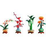 LEGO Botanicals Die vier Jahreszeiten-Bundle, Jouets de construction 