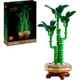 LEGO Botanicals Die vier Jahreszeiten-Bundle, Jouets de construction 
