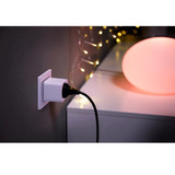 Philips Hue 929003050602, Switch socket Blanc
