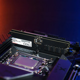 ADATA 16 Go DDR5-6400 (1x 16 Go) mémoire vive AD5CS640016G-S, CSODIMM