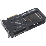 ASUS GeForce RTX 5060 DUAL OC EVO Edition 8GB, Carte graphique Noir, GeForce RTX 5060, 8 Go, GDDR7, 128 bit, 7680 x 4320 pixels, PCI Express 5.0