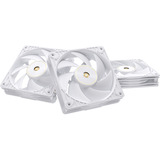 ASUS ProArt PF120 ventilateurs de boîtier Blanc, 3 pièces, 120 x 120 x 28 mm