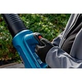 Bosch Souffleur de feuilles sans fil BITURBO GBL 18V-750 Professional solo, 18Volt Bleu/Noir