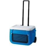 Coleman Glacière en maille Poly-lite 50QT à roulettes Bleu/Blanc