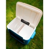 Coleman Glacière en maille Poly-lite 50QT à roulettes Bleu/Blanc