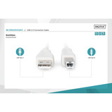 Digitus Câble de connexion USB 2.0 USB-A (mâle) > USB-B (mâle) Beige