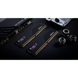 G.Skill 32 Go DDR5-6000 (2x 16 Go) mémoire vive Noir, F5-6000J3036F16GX2-FX5, EXPO