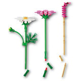 LEGO Botanicals Kosmeen, Jouets de construction 