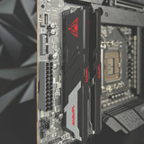 Patriot PVVR548G600C36K, Mémoire vive Noir