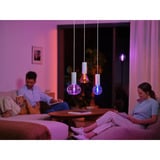 Philips Hue White & Color Ambiance Lightguide G95 Globe - Lampe intelligente E27, Lampe à LED 