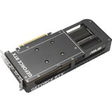 ASUS GeForce RTX 5050 PRIME OC 8GB, Carte graphique 