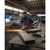 Bosch BOSCH GWS 20-230 P + DD CARTON, Meuleuse d'angle Bleu, 6500 tr/min, 23 cm, Secteur, 5,5 kg