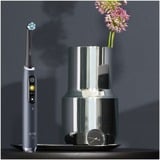 Braun Oral-B iO Series 9 Luxe Edition, Brosse a dents electrique Noir