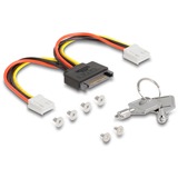 DeLOCK Châssis amovible 3,5″ pour 2 x M.2 NVMe SSD, Cadrage 