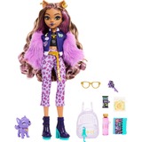 Mattel – Poupée Clawdeen Wolf Poupée mannequin, Femelle, 4 an(s), Garçon/Fille, 150 mm, 250 g