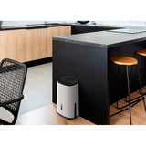 Meaco Dry Arete One 12L Déshumidificateur à compresseur et purificateur d'air Blanc/Noir