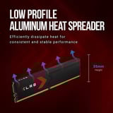 PNY DIMM 64 GB DDR5-6000 (2x 32 GB) Kit double, Mémoire vive Noir