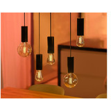 Philips Hue Hue corde noire pour suspension, Lampe Noir