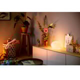 Philips Hue White & Color Ambiance Flourish Lampe de Table, Lumière LED Blanc
