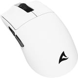 Sharkoon FIREGLIDER One, Souris gaming Blanc