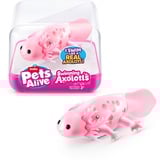 ZURU 9556 Jeux, jouets et adhésifs de bain, Figurine Pets Alive 9556, Figurines pour le bain, Garçon/Fille, 3 an(s), AG13, Couleurs assorties