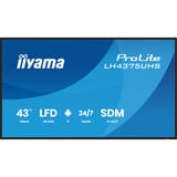 iiyama LH4375UHS-B2AG, Affichage public Noir (Mat)
