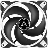 ARCTIC BioniX P120 Boitier PC Ventilateur 12 cm Noir, Blanc, Ventilateur de boîtier Noir/Blanc, Ventilateur, 12 cm, 2100 tr/min, 25,5 dB, 67,56 cfm, 114,79 m³/h