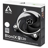 ARCTIC BioniX P120 Boitier PC Ventilateur 12 cm Noir, Blanc, Ventilateur de boîtier Noir/Blanc, Ventilateur, 12 cm, 2100 tr/min, 25,5 dB, 67,56 cfm, 114,79 m³/h
