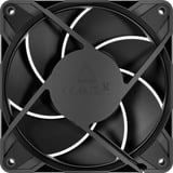 ARCTIC P12 Pro PST LN ventilateurs de boîtier Noir, 5 pièces, 120 x 120 x 25 mm, PWM