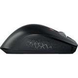 CHERRY STREAM MOUSE COMFORT, Souris Noir