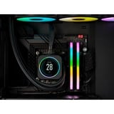 Corsair 64 Go DDR5-6000 (2x 32 Go) mémoire vive Noir, CMH64GX5M2B6000C30, XMP 3.0