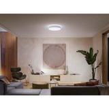Philips Hue Plafonnier White Ambiance Enrave L, Lumière LED Blanc