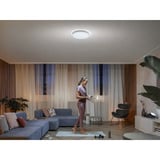 Philips Hue Plafonnier White Ambiance Enrave L, Lumière LED Blanc
