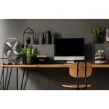 Steba VT T6 Acier inoxydable, Ventilateur Gunmetal, Ventilateur à lame domestique, Acier inoxydable, Sol, Table, Métal, 54 dB, 3,4 m