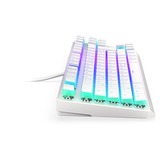 ENDORFY clavier gaming Blanc, Layout DE, Kailh RGB Red