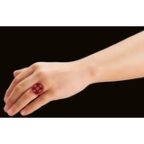 PLAYMOBIL 71342, Jouets de construction 